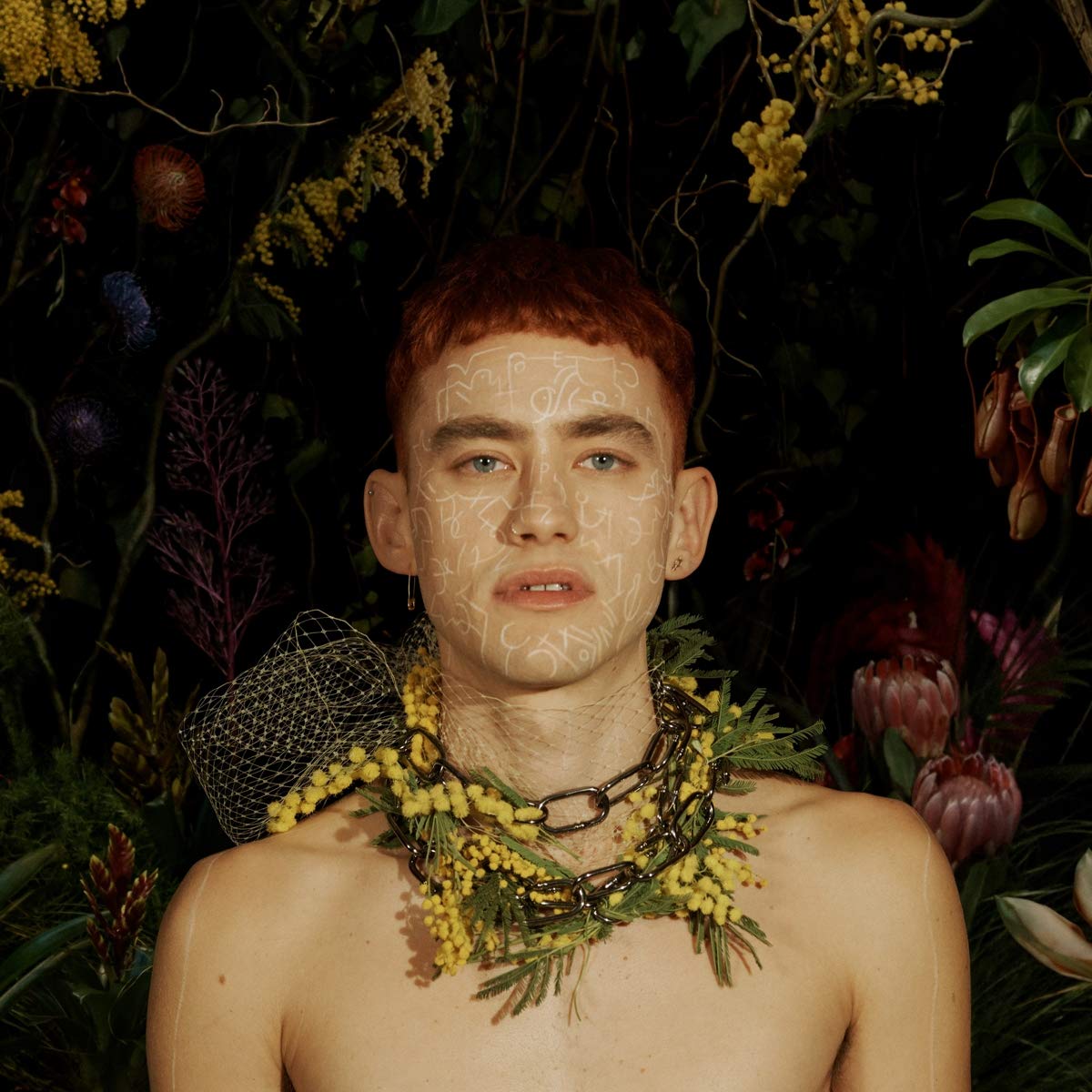 Palo Santo -Ltd-
