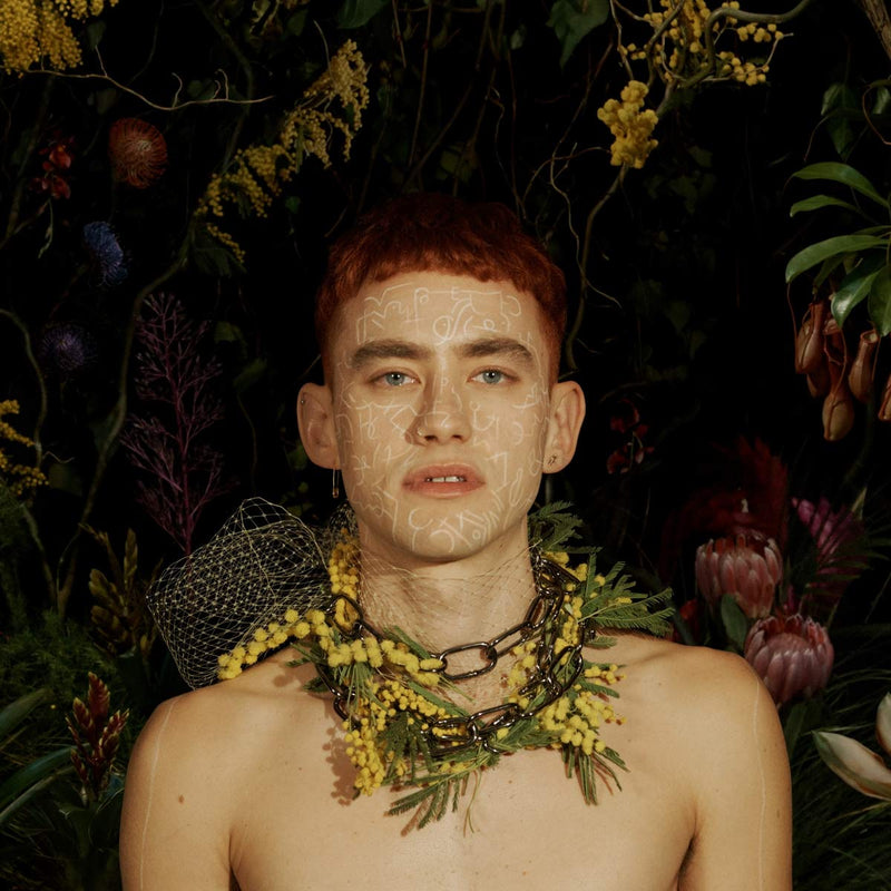 Palo Santo -Ltd-