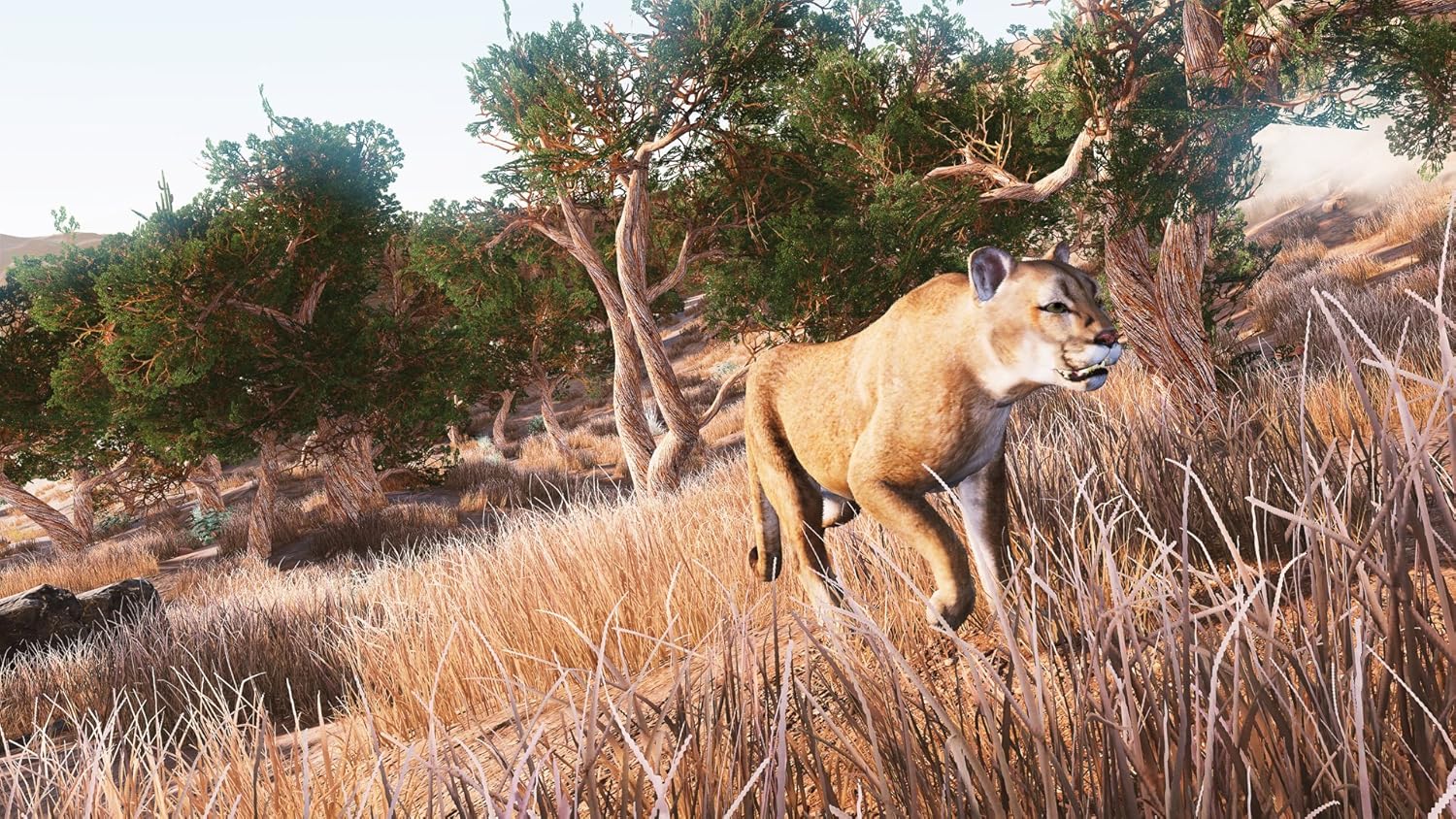 HUNTING SIMULATOR - HUNTING SIMULATOR (1 GAMES