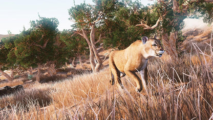 HUNTING SIMULATOR - HUNTING SIMULATOR (1 GAMES