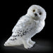 The Noble Collection Hedwig Collector's Plush Officially Licensed 14in (35cm) Harry Potter Toy Dolls Snowy Owl Plush - For Kids & Adults