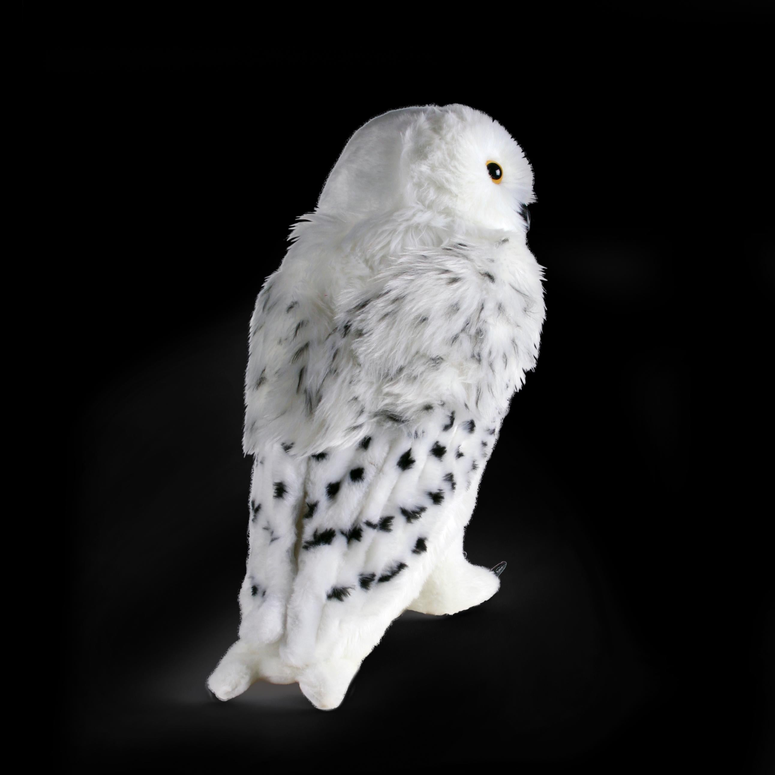 The Noble Collection Hedwig Collector's Plush Officially Licensed 14in (35cm) Harry Potter Toy Dolls Snowy Owl Plush - For Kids & Adults