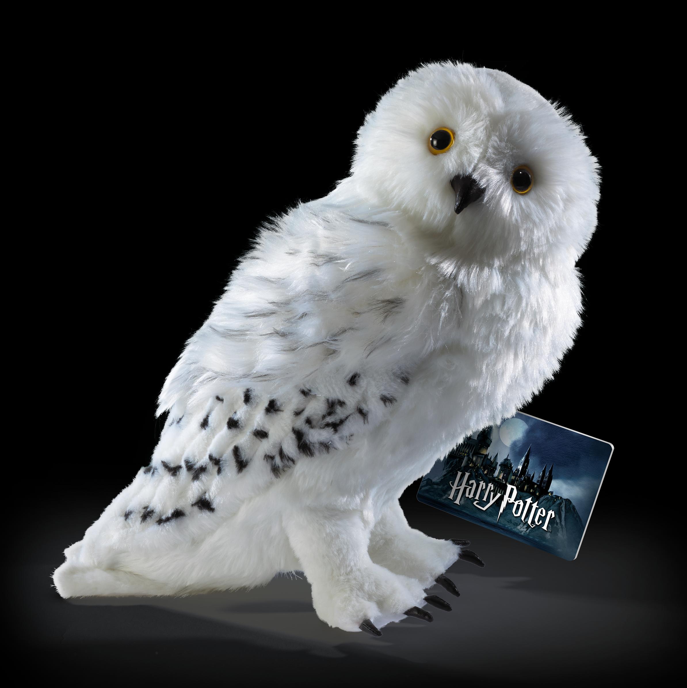The Noble Collection Hedwig Collector's Plush Officially Licensed 14in (35cm) Harry Potter Toy Dolls Snowy Owl Plush - For Kids & Adults