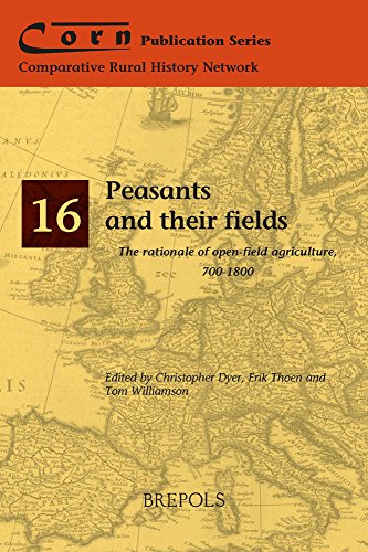 Peasants And Their Fields