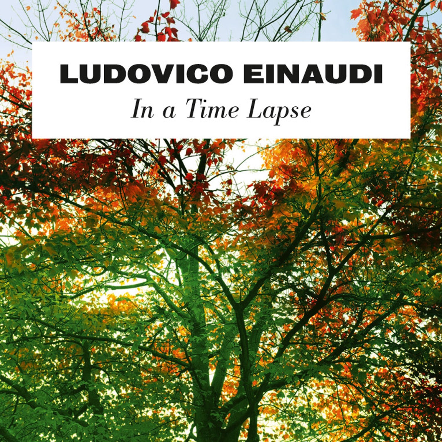 Ludovico Einaudi: In a Time Lapse
