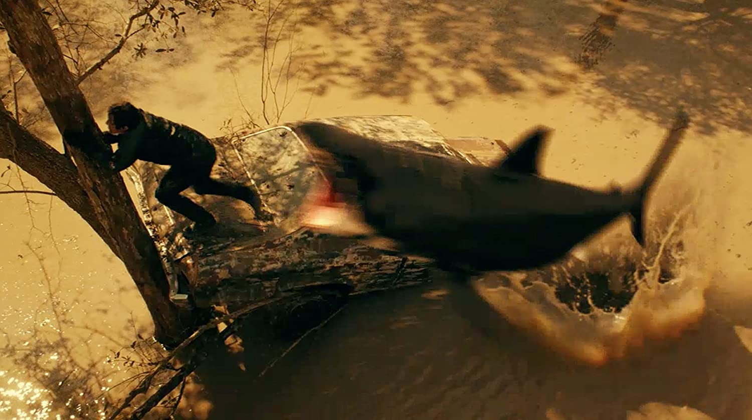 Shark Shock