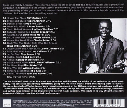 Hall Of Fame: History Of The Blues Guitar