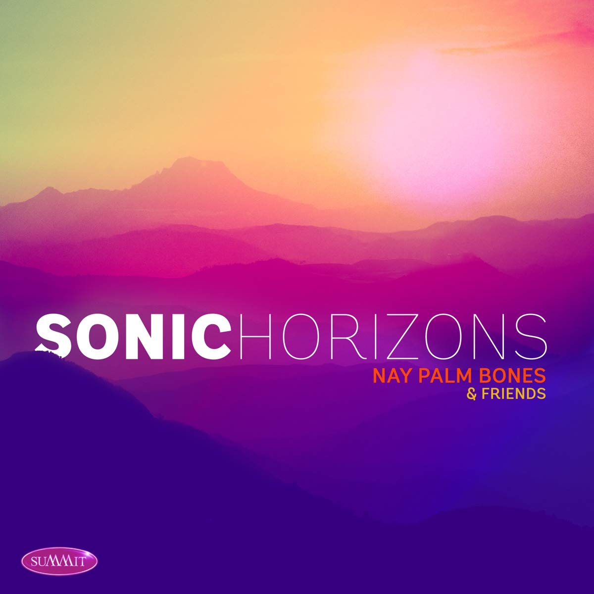 Sonic Horizons
