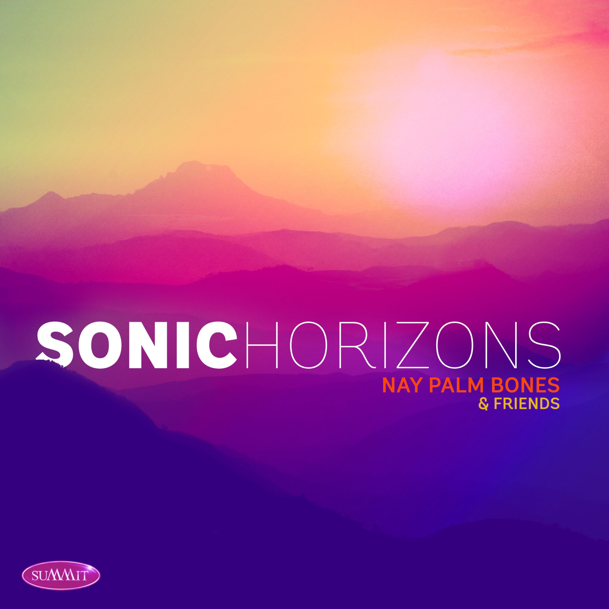 Sonic Horizons