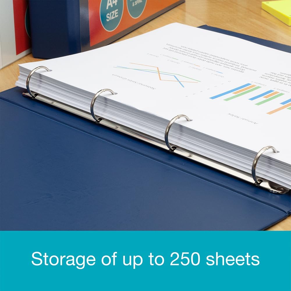 Elba Vision A4 25 mm 4 Ring Binder