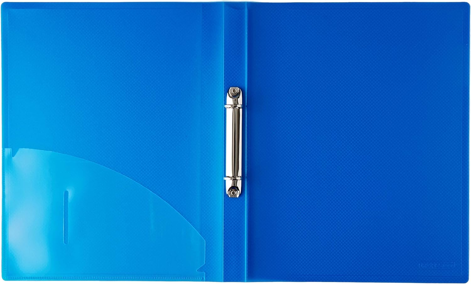 Rapesco 0799 15 mm 2-Ring Binder, 25 mm Spine, A4, Bright Transparent, Assorted Colours, Pack of 10