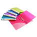 Rapesco 0799 15 mm 2-Ring Binder, 25 mm Spine, A4, Bright Transparent, Assorted Colours, Pack of 10