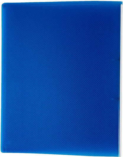 Rapesco 0799 15 mm 2-Ring Binder, 25 mm Spine, A4, Bright Transparent, Assorted Colours, Pack of 10