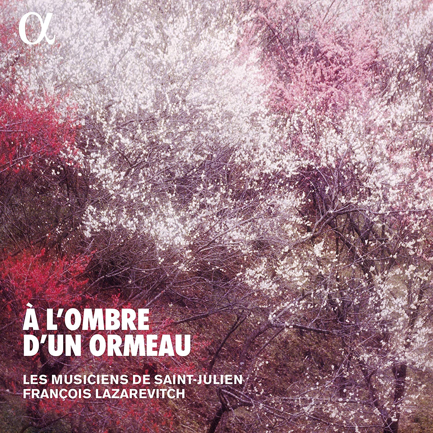 À L'ombre D'un Ormeau