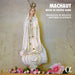 Machaut: Messe De Nostre Dame