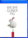 Bye Bye Guinea Pig