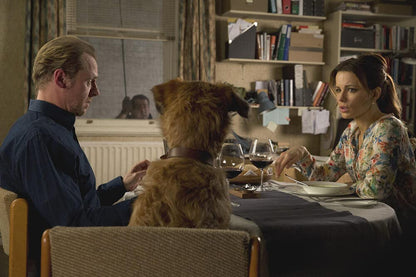 Absolutely Anything