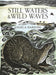 Still Waters & Wild Waves