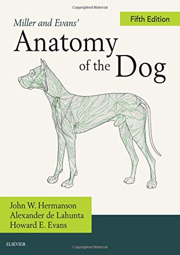 Miller And Evans` Anatomy Of The Dog
