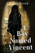 A Boy Named Vincent