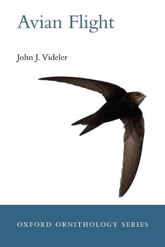 Avian Flight
