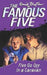 Five Go Off In A Caravan