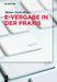 E-Vergabe in Der Praxis