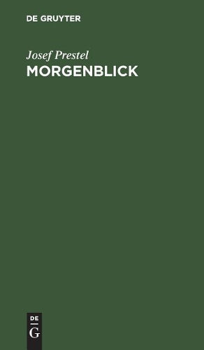Morgenblick: Erlebnisse der ersten Kinderzeit (German Edition