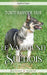 Tout Savoir sur le Vallhund Suédois