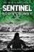 Sentinel: The Post-Pandemic Thriller (2) (The Hurst Chronicles