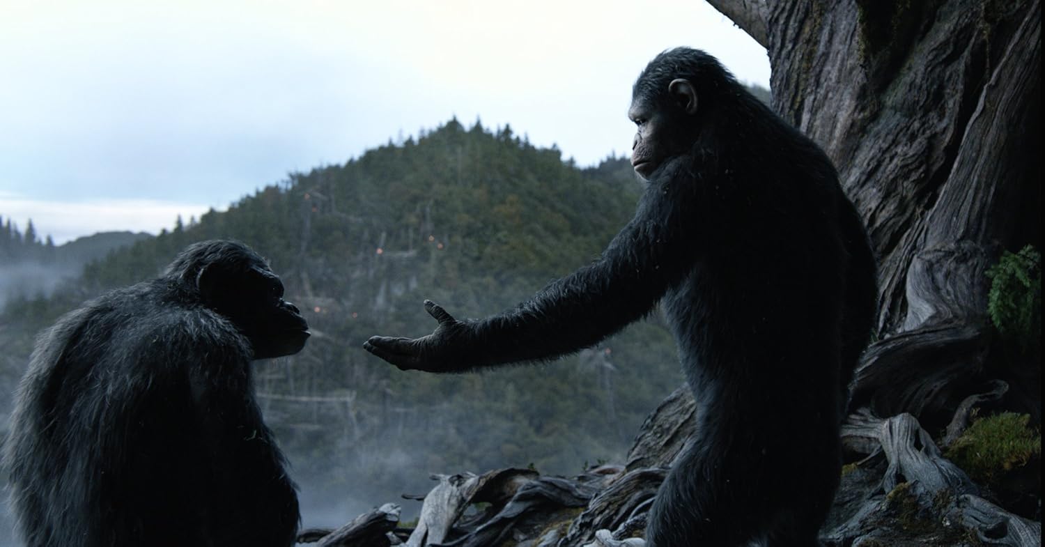 Dawn of the Planet of the Apes  (English audio. English subtitles