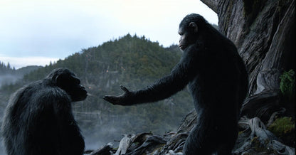 Dawn of the Planet of the Apes  (English audio. English subtitles