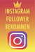 Instagram Follower bekommen