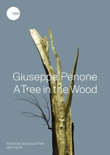 Giuseppe Penone A Tree in the Wood