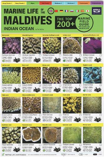 Maldives Marine Life Field Guide