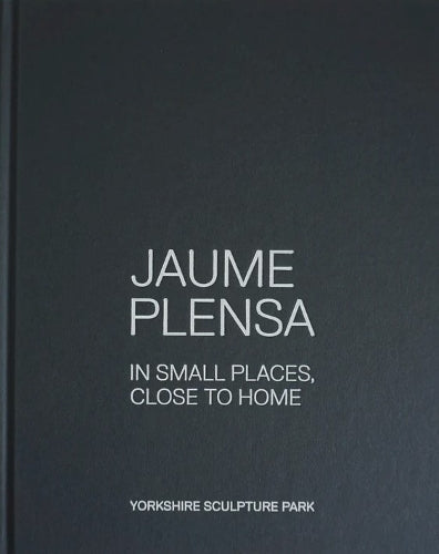 Jaume Plensa: In Small Places, Close to Home