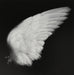 Dissimulation