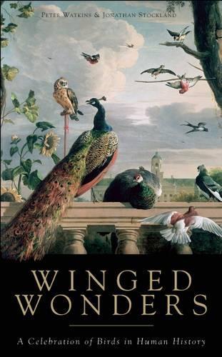 Winged Wonders