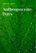 Anthropocene Days