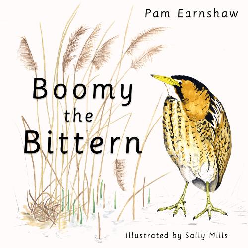 Boomy the Bittern