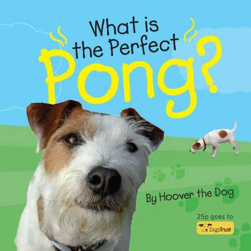 What is the Perfect Pong?