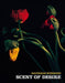 Balthasar Burkhard: Scent of Desire