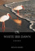 White Ibis Dawn