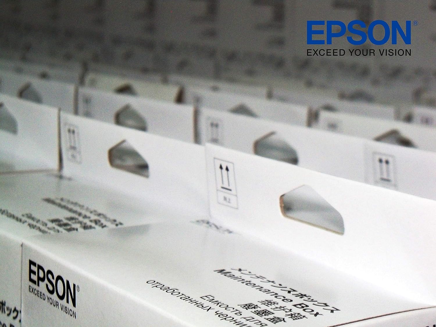 Epson C13T04D100 Xp5100 Maintenance Boxes, Black