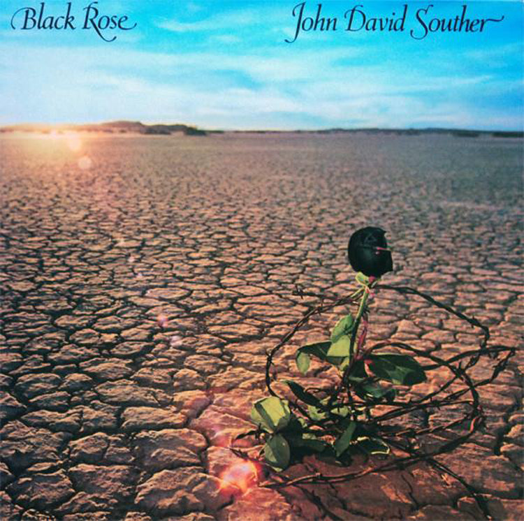 Black Rose