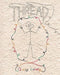The Thread