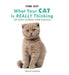 Find Out What Your Cat is Really Thinking