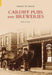 Cardiff Pubs and Breweries