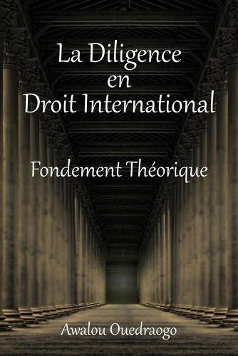La Diligence En Droit International Fondement Théorique