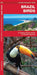 Brazil Birds